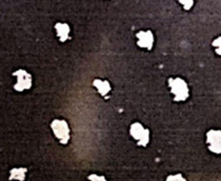 art cell pattern advantages for coating and printing higher volume ink transfer