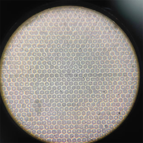 hexagonal cells 400x microscope comparison 1200 lpi high line screen anilox
