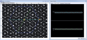 anilox roller cell volume inspection software for accurate ink transfer and QC control